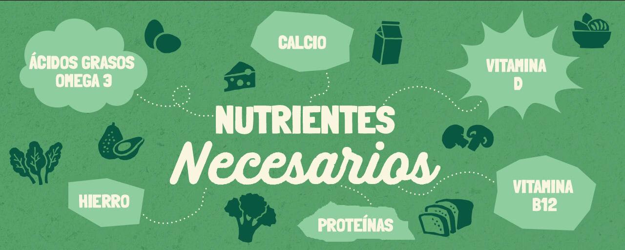 Nutrientes necesarios